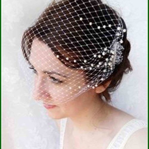Wedding Hairstyles For Short Hair With Birdcage Veil (Photo 3 of 15)