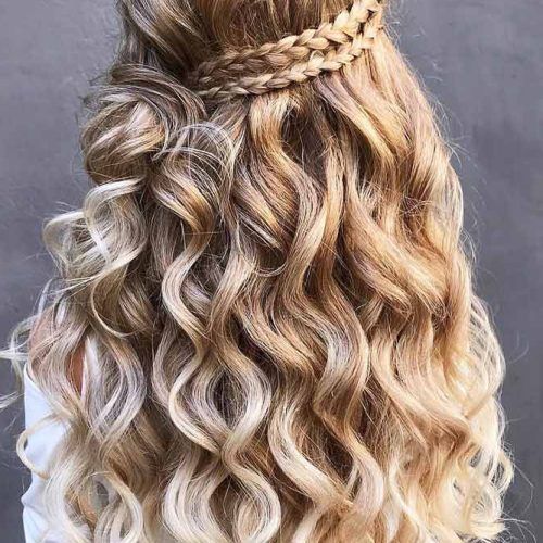 Braided Half-Up Hairstyles For A Cute Look (Photo 12 of 20)