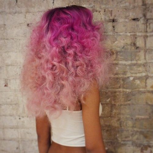 Hot Pink Highlights On Gray Curls Hairstyles (Photo 1 of 20)