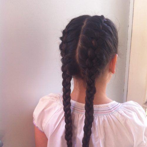 Double Rapunzel Side Rope Braid Hairstyles (Photo 5 of 20)