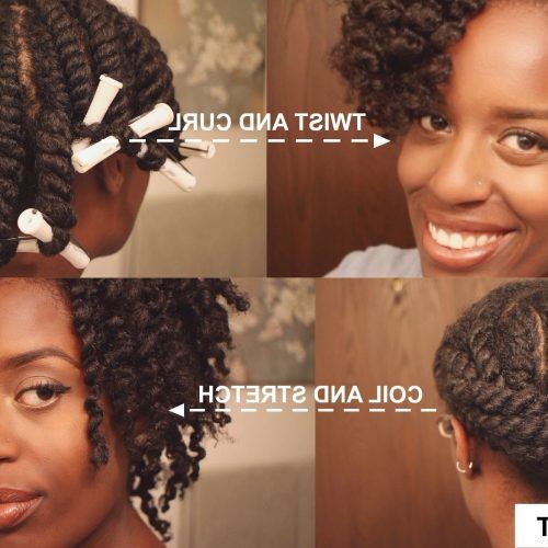 Flat Twists Into Twist Out Curls (Photo 2 of 15)