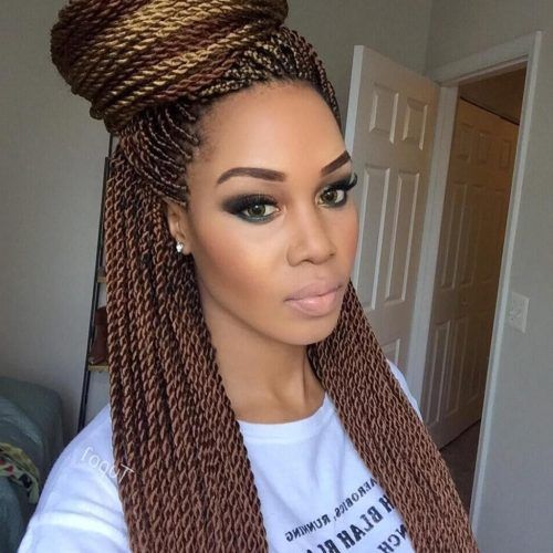 Thin Cornrows Hairstyles (Photo 7 of 15)