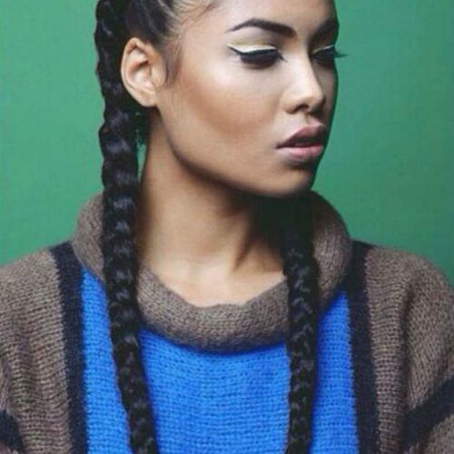 Braided Hairstyles With Two Braids (Photo 6 of 15)