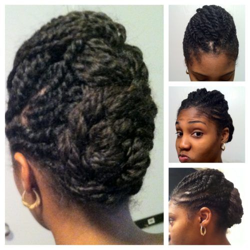 Two Strand Twist Updo Hairstyles (Photo 1 of 16)