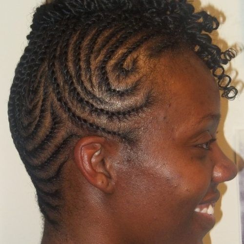 Two Strand Twist Updo Hairstyles (Photo 14 of 16)