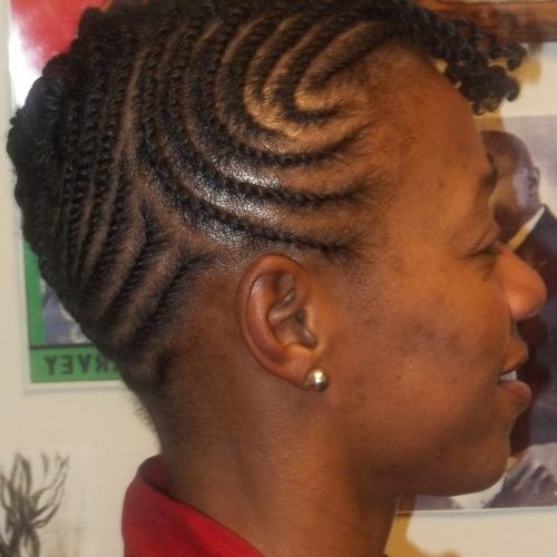 Two Strand Twist Updo Hairstyles (Photo 10 of 16)