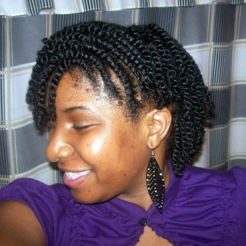 Two Strand Twist Updo Hairstyles (Photo 13 of 16)
