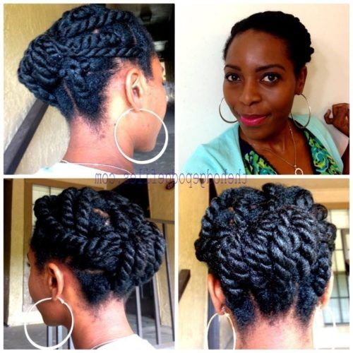 Two Strand Twist Updo Hairstyles (Photo 3 of 16)