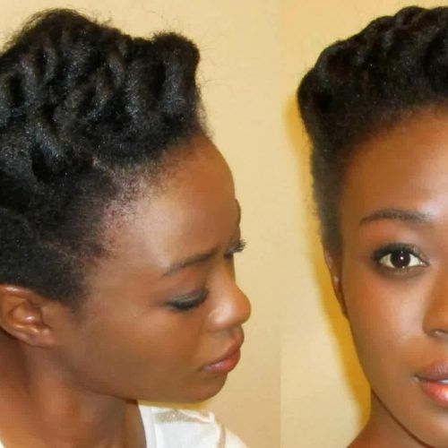 Two Strand Twist Updo Hairstyles For Natural Hair (Photo 9 of 15)