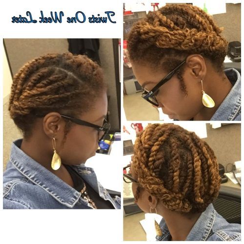 2 Strand Twist Updo Hairstyles (Photo 13 of 15)