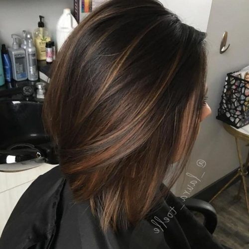 Black Hairstyles With Brown Highlights (Photo 5 of 20)