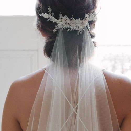 Wedding Hairstyles With Extra-Long Veil With A Train (Photo 19 of 20)