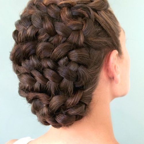 Braided Victorian Hairstyles (Photo 6 of 15)
