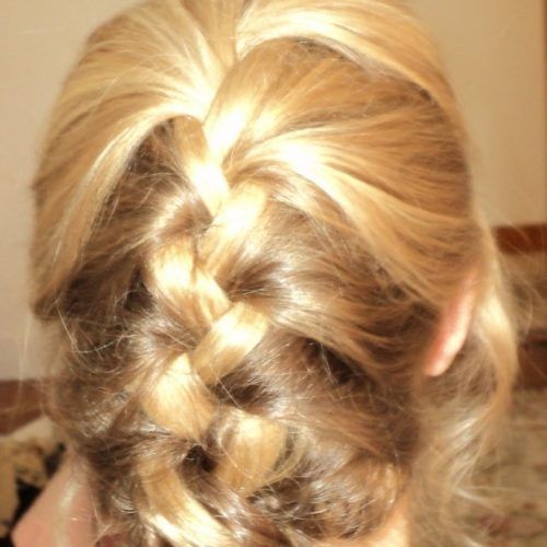 Updo Hairstyles With French Braid (Photo 9 of 15)