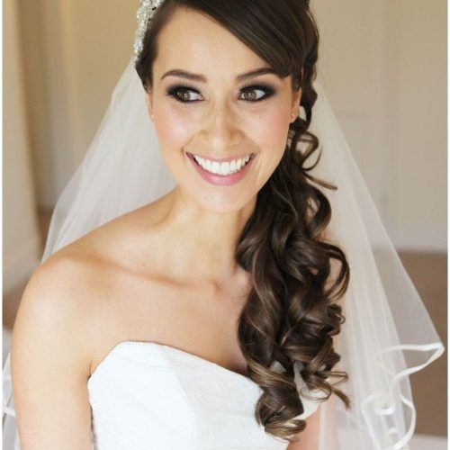 Wedding Hairstyles For Long Hair Down With Veil (Photo 14 of 15)