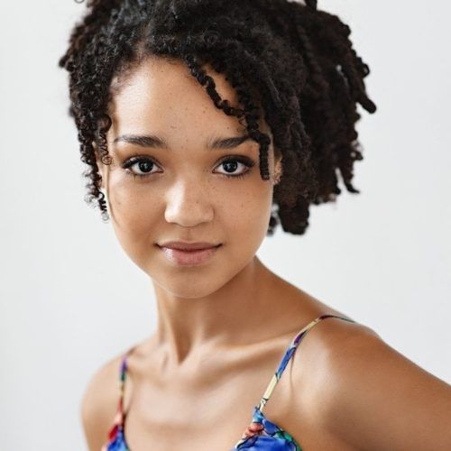 Natural Curly Updos For Black Hair (Photo 12 of 15)