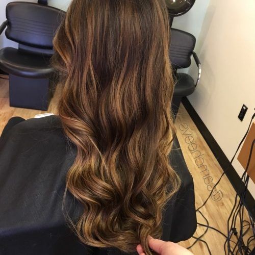 Warm-Toned Brown Hairstyles With Caramel Balayage (Photo 9 of 20)