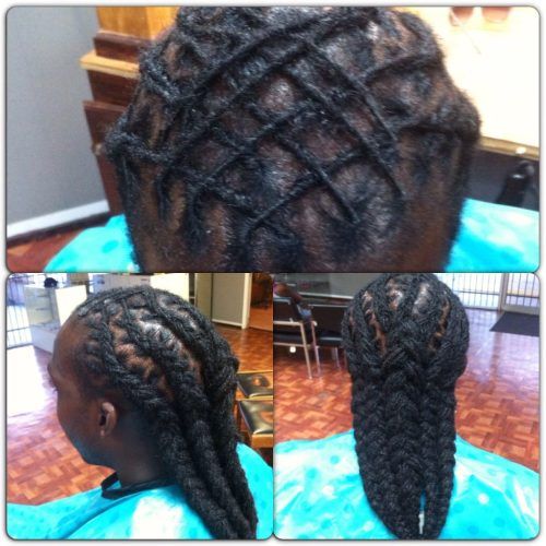Tightly Coiled Gray Dreads Bun Hairstyles (Photo 20 of 20)