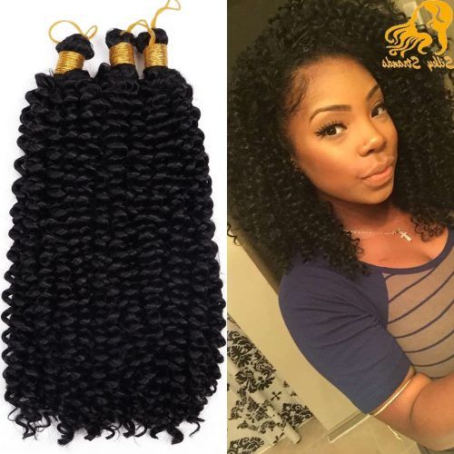 Curly Hairstyle With Crochet Braids (Photo 8 of 15)