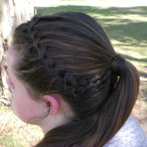 Cascading Ponytail Hairstyles (Photo 9 of 20)