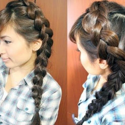Braided Hairstyles For Long Hair (Photo 13 of 15)