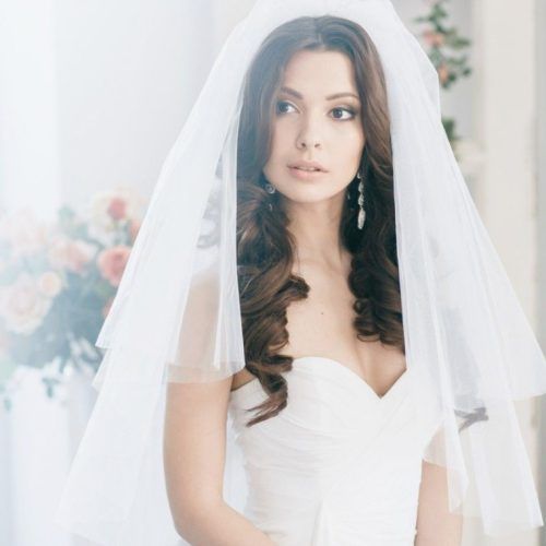 Wedding Hairstyles With Veils (Photo 15 of 15)