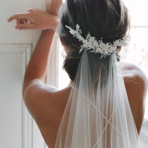 Wedding Hairstyles With Extra-Long Veil With A Train (Photo 3 of 20)