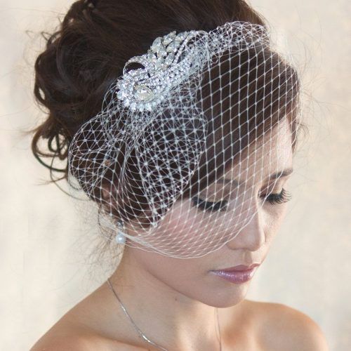 Wedding Hairstyles For Short Hair With Birdcage Veil (Photo 9 of 15)