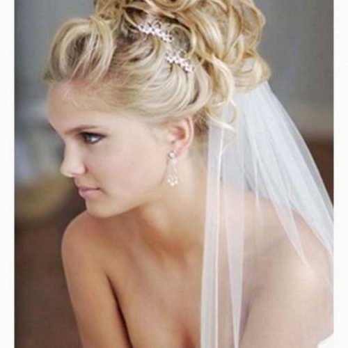 Wedding Updo Hairstyles With Veil (Photo 6 of 15)