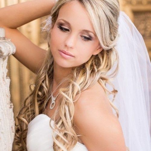 Wedding Hairstyles With Veil And Tiara (Photo 4 of 16)