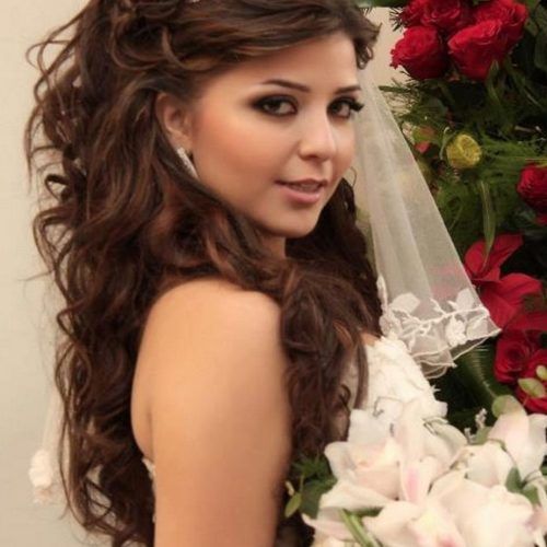 Wedding Hairstyles For Long Hair With Tiara (Photo 15 of 15)