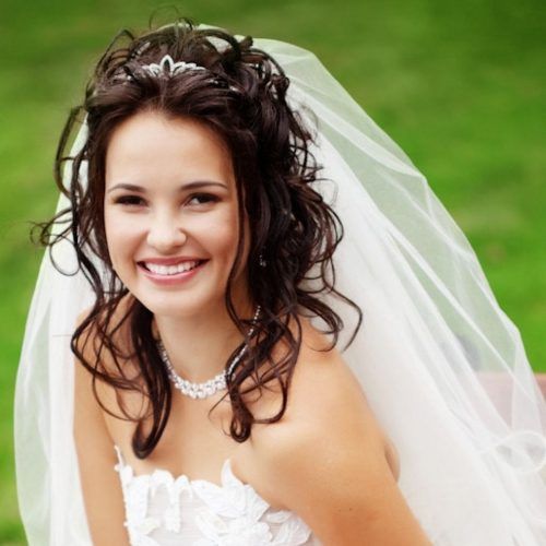 Wedding Updo Hairstyles With Veil (Photo 15 of 15)
