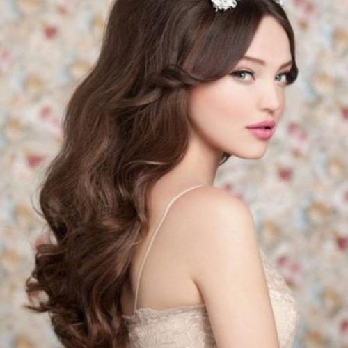 Wedding Hairstyles For Long Hair With Tiara (Photo 5 of 15)