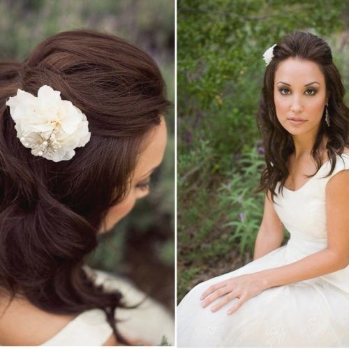 Bridal Hairstyles For Medium Length Hair With Veil (Photo 1 of 15)