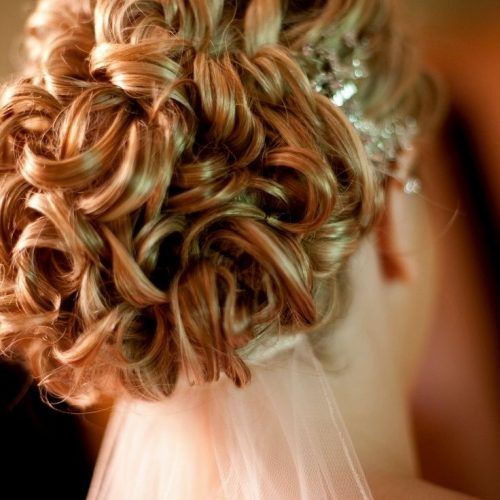 Wedding Hairstyles With Veil Underneath (Photo 10 of 15)