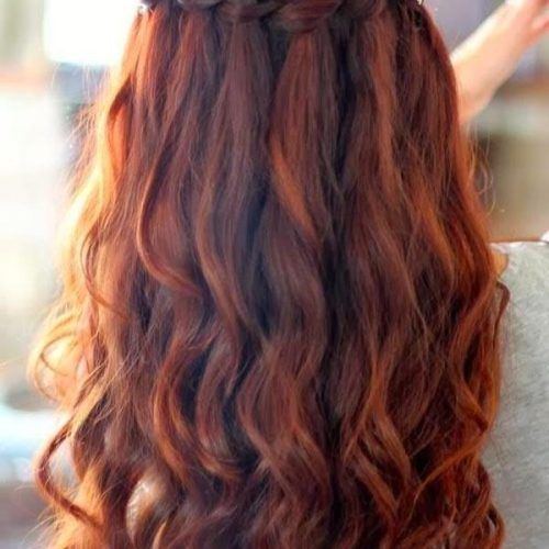 Long Hairstyles With Braids (Photo 9 of 15)