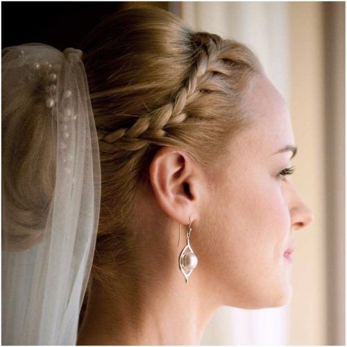 Wedding Hairstyles With Veil And Tiara (Photo 16 of 16)