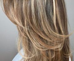 20 Collection of Layers and Highlights