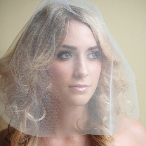 Wedding Hairstyles With Veil Over Face (Photo 17 of 17)