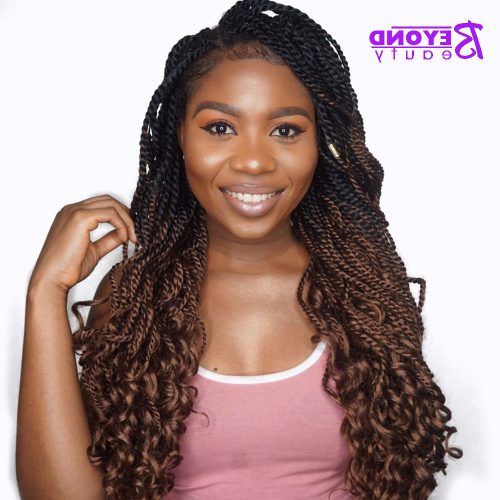 Black And Brown Senegalese Twist Hairstyles (Photo 10 of 20)