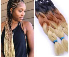 2024 Popular Black and Brown Senegalese Twist Hairstyles