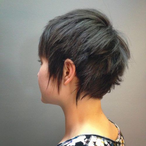 Bold Asian Pixie Haircuts (Photo 12 of 20)