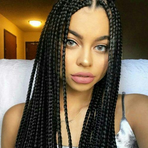 Braided Hairstyles For Black Woman (Photo 14 of 15)