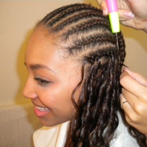 Braided Hairstyles Into A Ponytail With Weave (Photo 14 of 15)