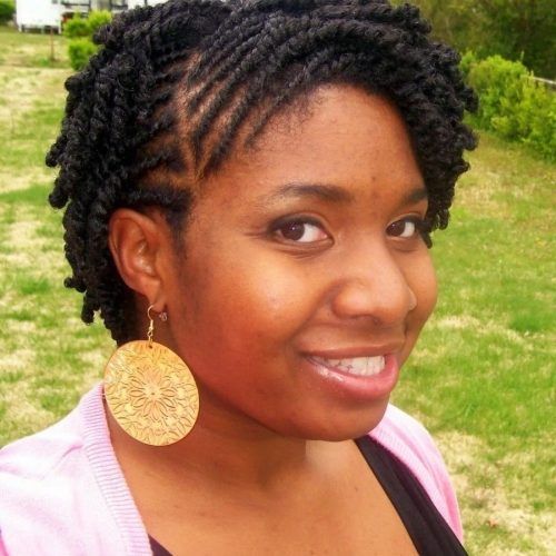 Braided Natural Hairstyles For Short Hair (Photo 7 of 15)