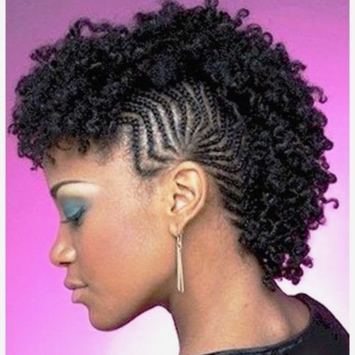 Braided Natural Hairstyles For Short Hair (Photo 12 of 15)