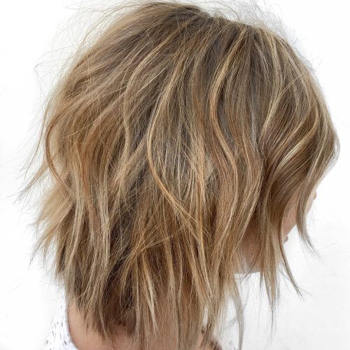 Bronde Shaggy Hairstyles With Feathered Layers (Photo 14 of 20)