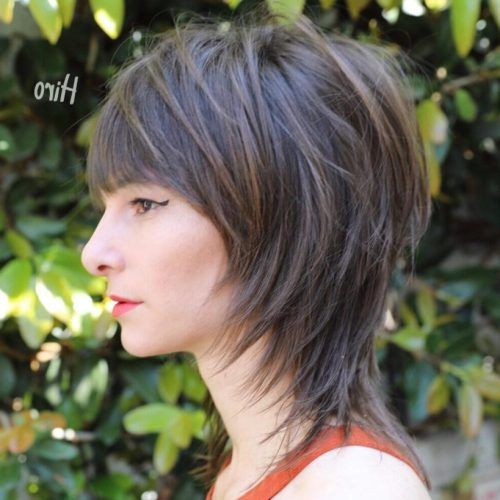 Brunette Messy Shag Hairstyles (Photo 18 of 20)