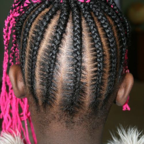 Cornrows Hairstyles Going Up (Photo 15 of 15)