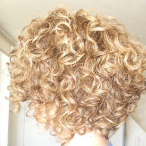 Bob Hairstyles 2017 - Short regarding Best and Newest Curly Inverted Bob Hairstyles (Photo 75 of 292)